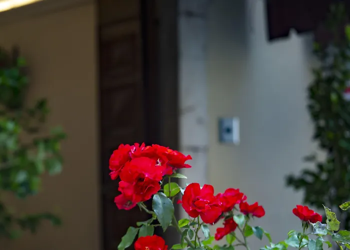 Palazzo Franceschini Hotel Cascia